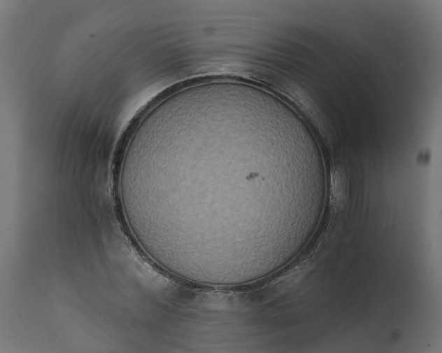 X0000111520780200907281338