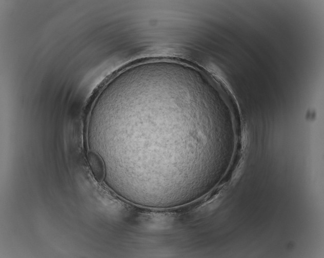 X0000111520781200907281337