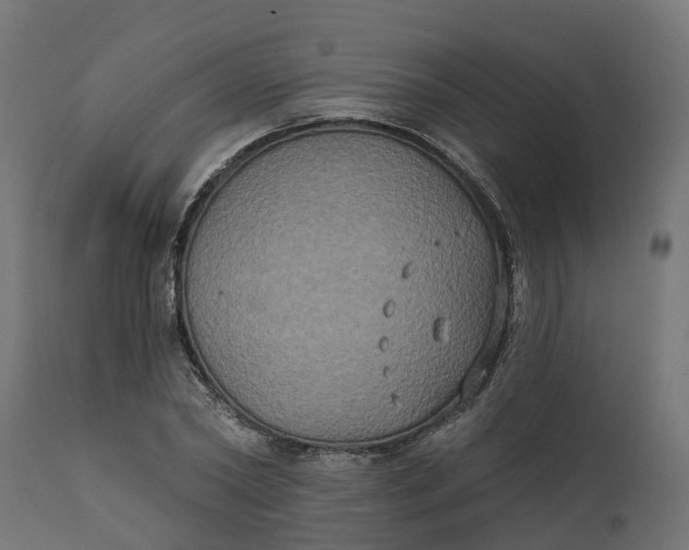 X0000111520782200907281337