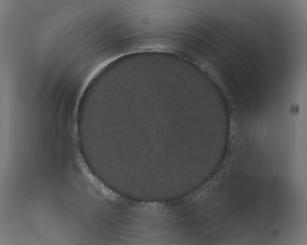 X0000111520784200907281337