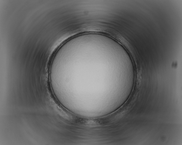 X0000111520787200907281337