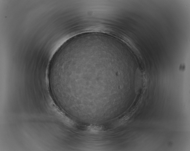 X0000111520788200907281337