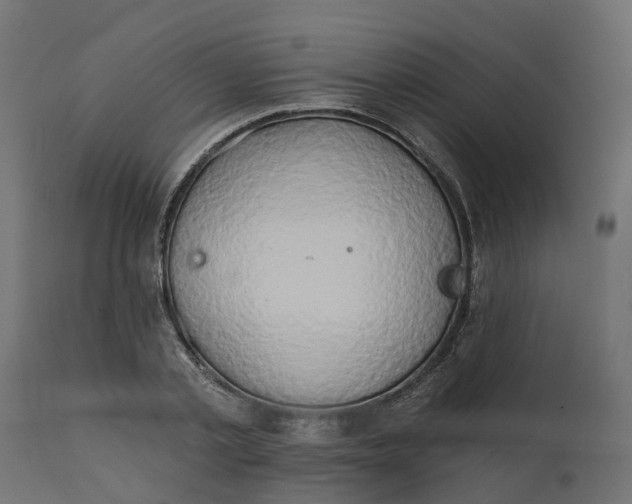 X0000111520789200907281337