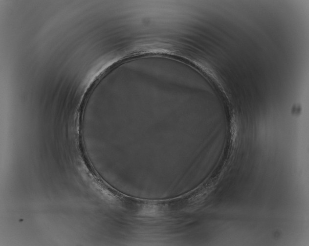 X0000111520790200907281337