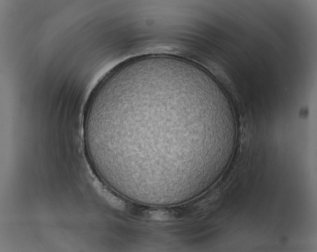 X0000111520792200907281337