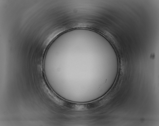 X0000111520794200907281337