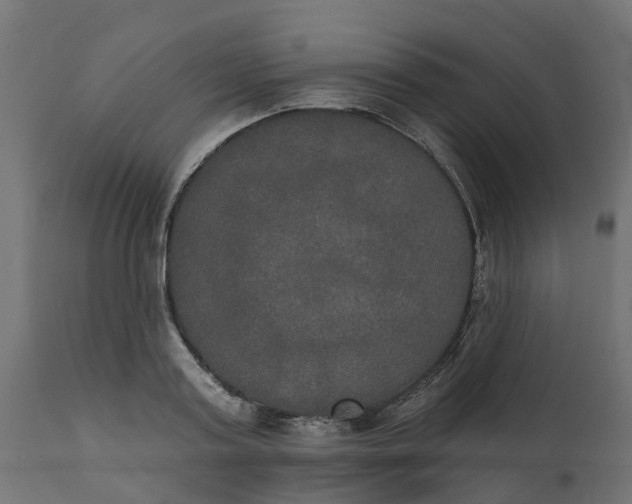 X0000111520795200907281337