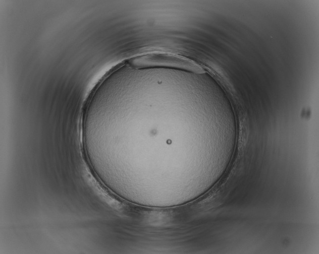 X0000111520796200907281337