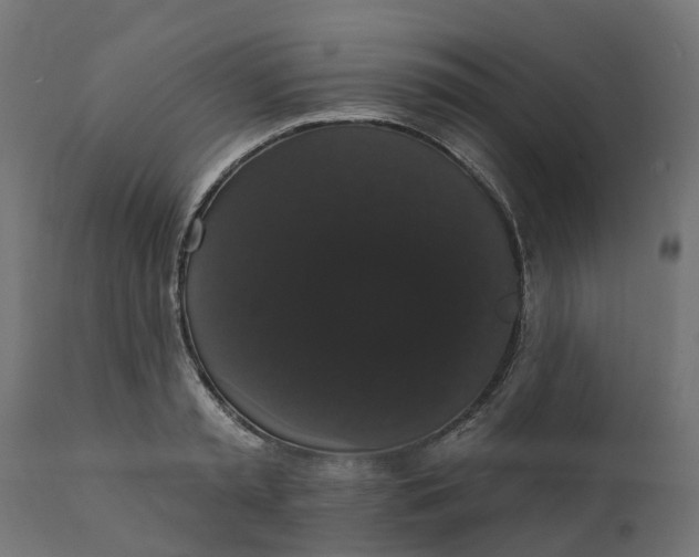 X0000111520797200907281337