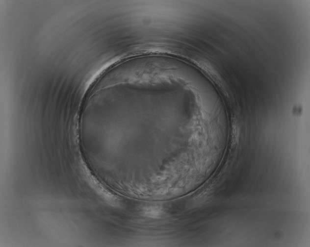 X0000111520798200907281337