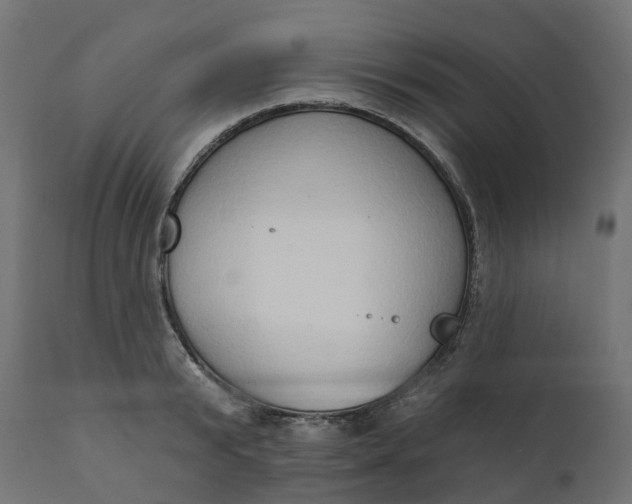 X0000111520799200907281337