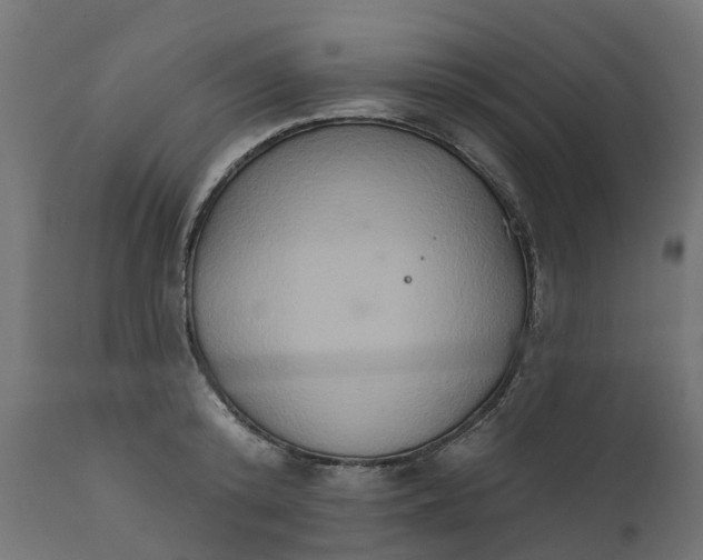 X0000111520800200907281337