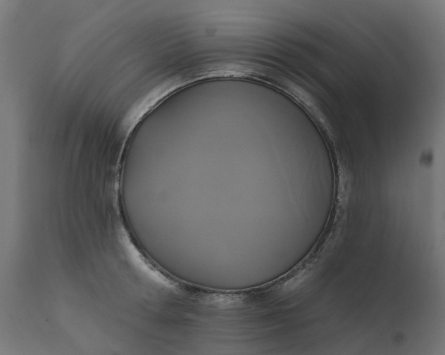 X0000111520802200907281337