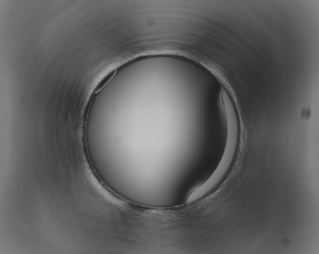 X0000111520805200907281337