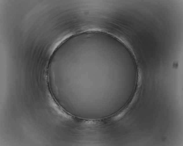 X0000111520806200907281337