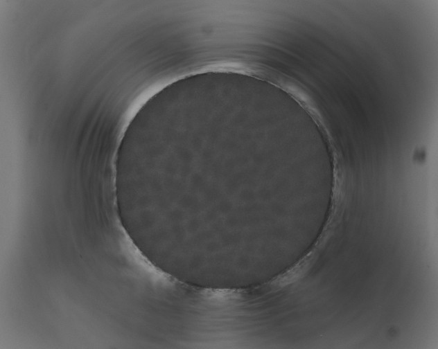 X0000111520808200907281337