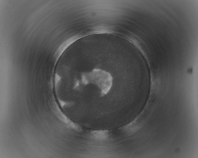 X0000111520810200907281337