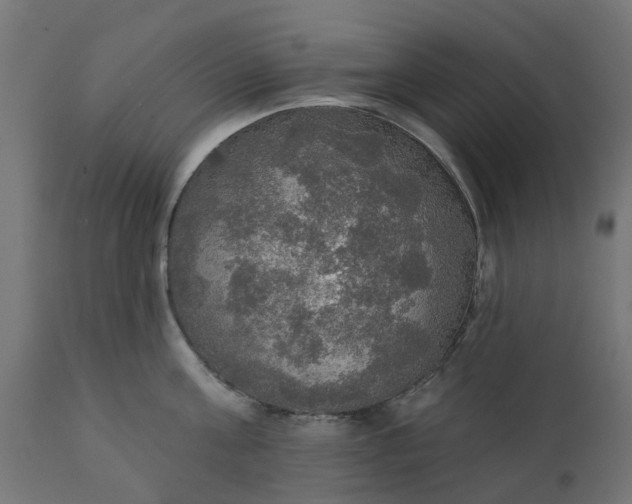 X0000111520811200907281337