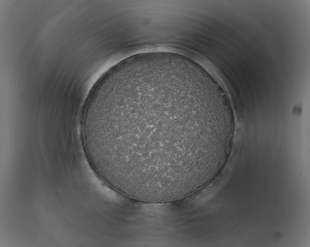 X0000111520813200907281337