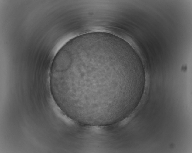 X0000111520814200907281337