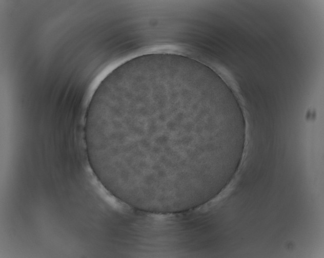 X0000111520816200907281337
