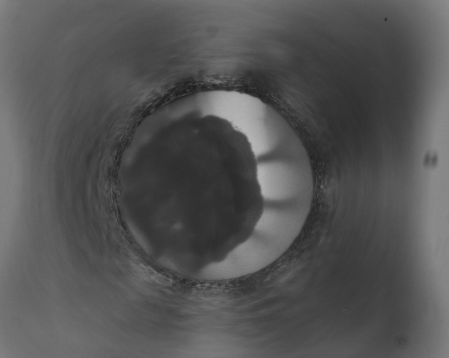 X0000111520817200907281336