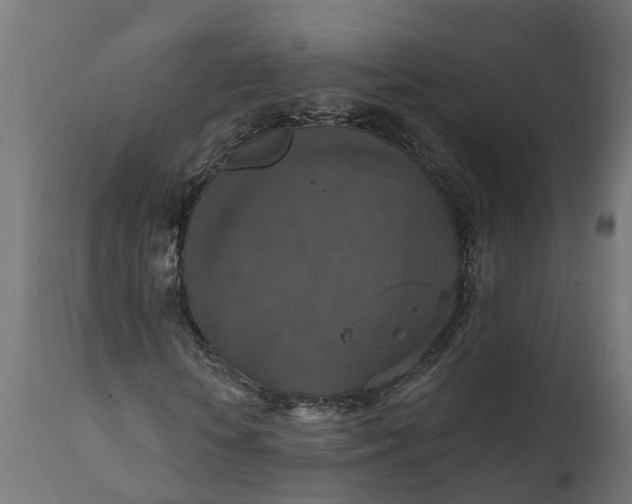 X0000111520818200907281336