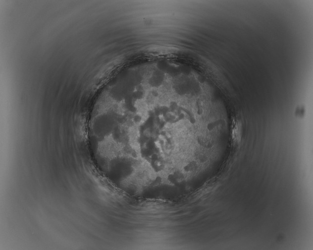X0000111520819200907281336