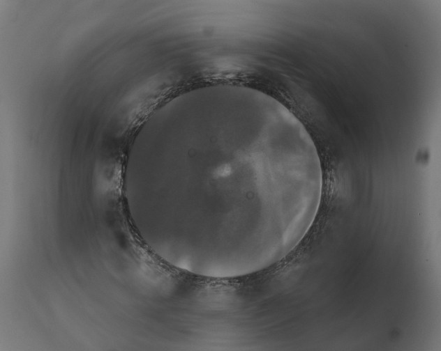 X0000111520820200907281336