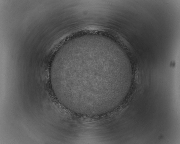 X0000111520821200907281336