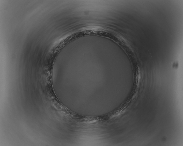 X0000111520822200907281336