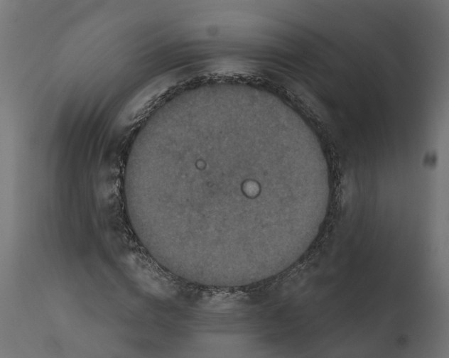 X0000111520824200907281336