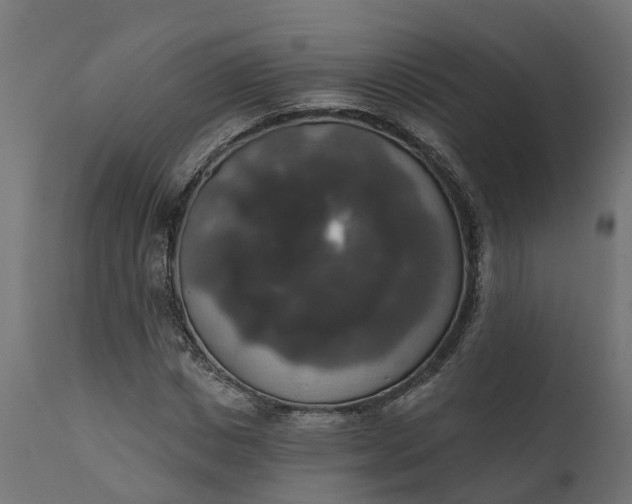 X0000111520825200907281336