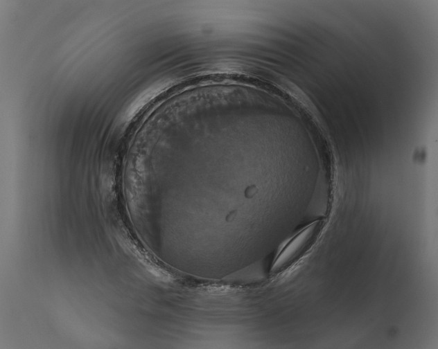 X0000111520826200907281336