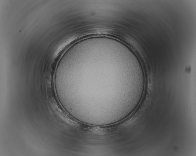 X0000111520827200907281336