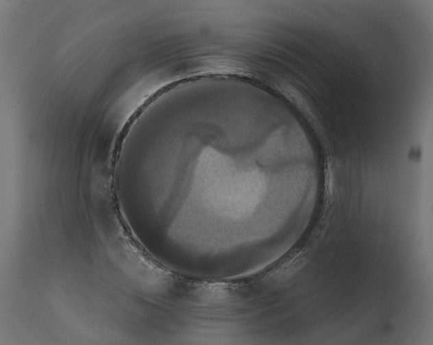 X0000111520828200907281336