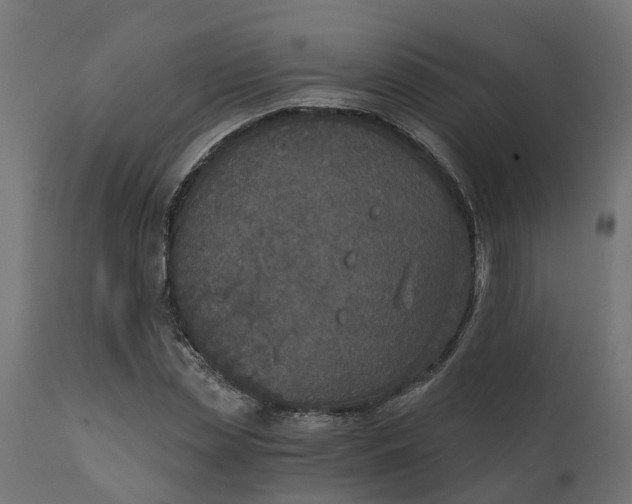 X0000111520829200907281336