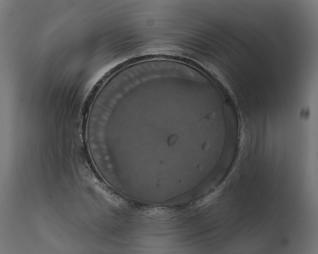 X0000111520830200907281336