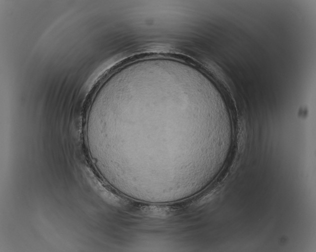 X0000111520831200907281336