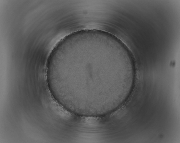 X0000111520832200907281336
