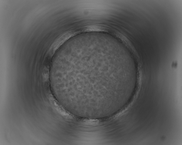 X0000111520833200907281336