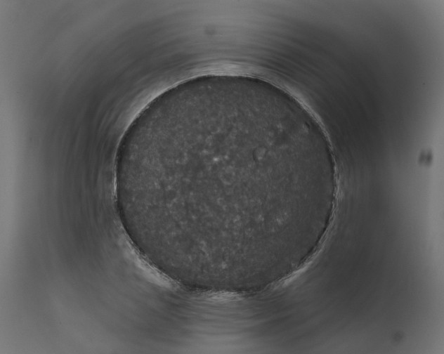 X0000111520837200907281336