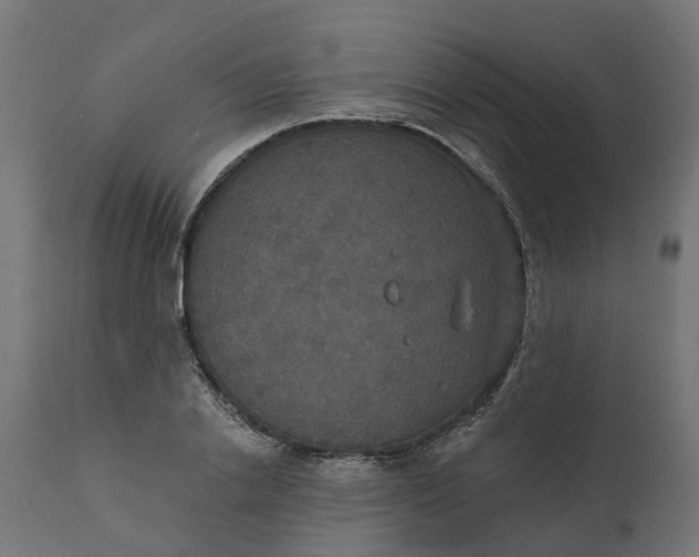 X0000111520838200907281336