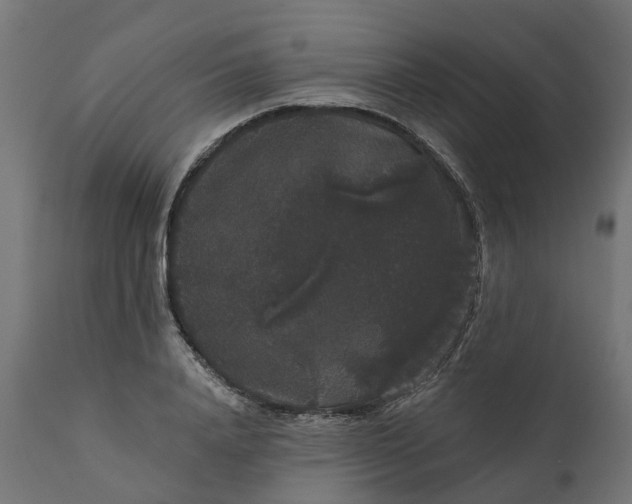 X0000111520840200907281336