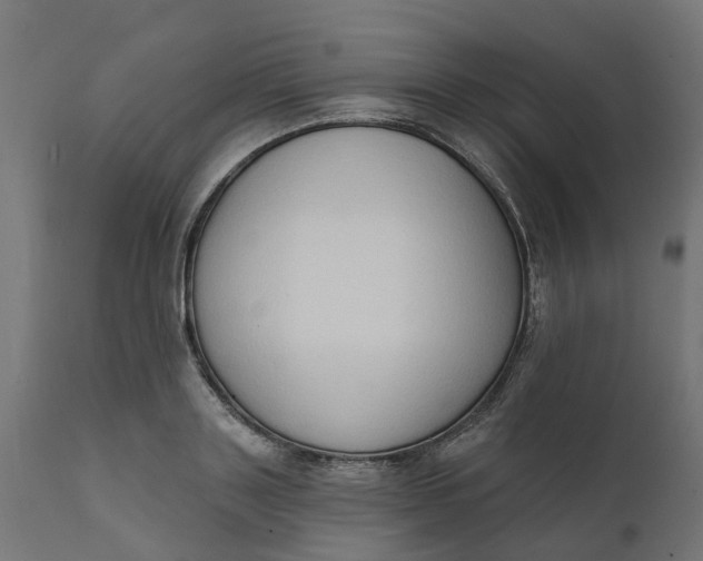 X0000111520843200907281337