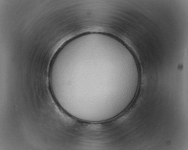 X0000111520845200907281337