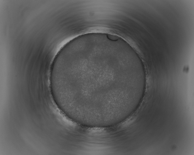 X0000111520846200907281337