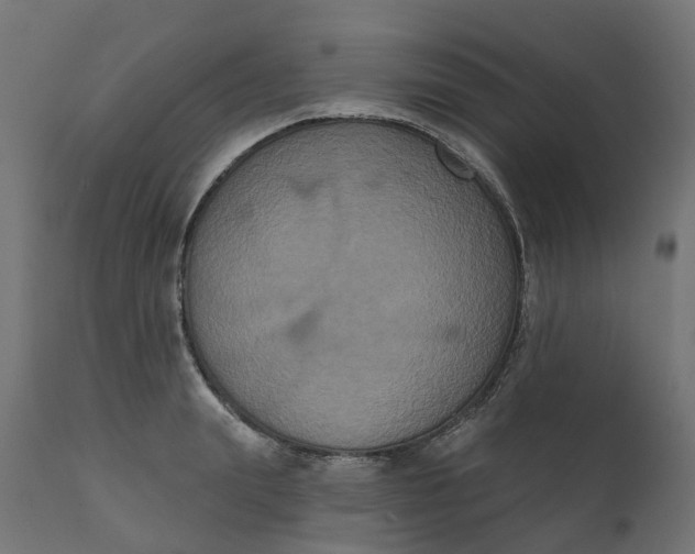 X0000111520847200907281337