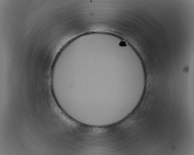 X0000111520848200907281337
