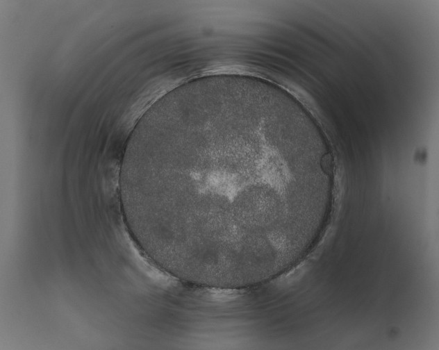 X0000111520849200907281337